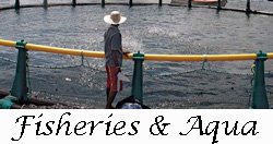 Fisheries and Aquaculture